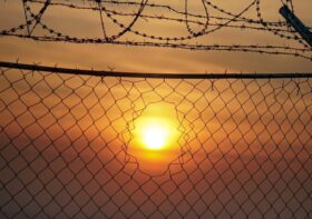 Czy miłość może być programem?