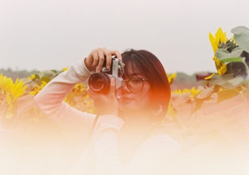 Woman with camera in a field of sunflowers